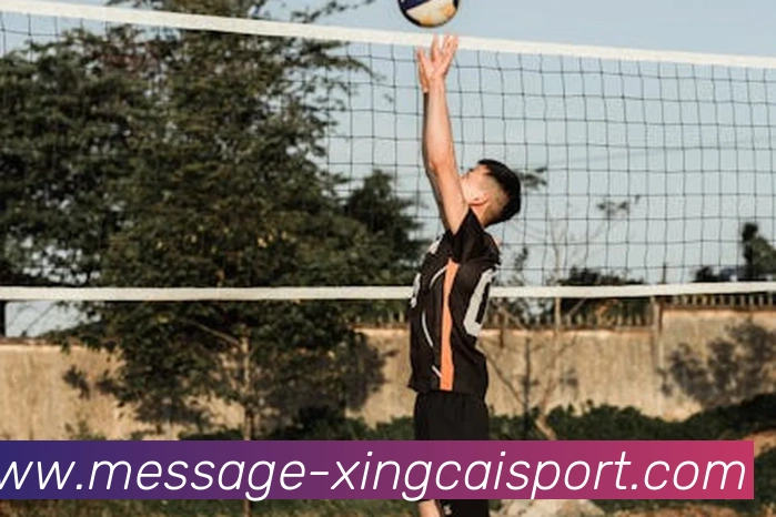 杏彩体育APP 封面图